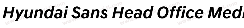 Hyundai Sans Head Office Medium字体转换